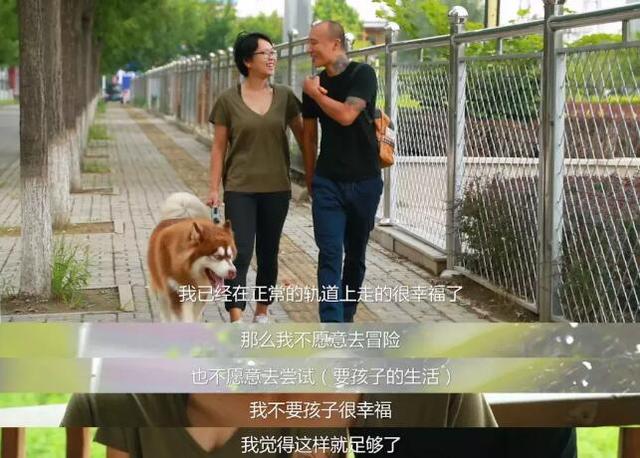 丁克族是什么意思，丁克族是什么意思 百度网盘（丁克族衍生出的两大“反派”）