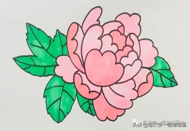 牡丹花的简笔画，儿童简笔画牡丹花（每天学一幅简笔画--牡丹花简笔画画法步骤图片教程）