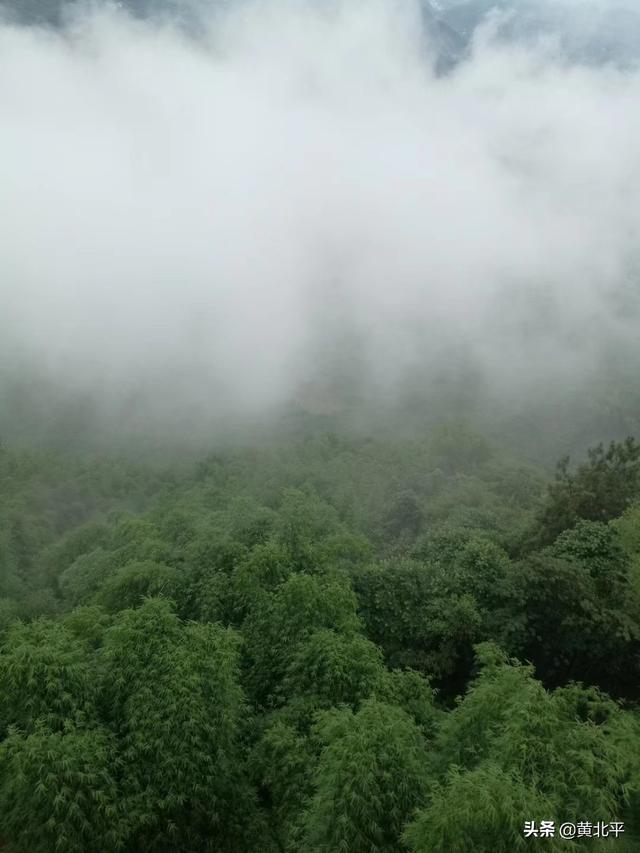 蜀南竹海在哪里，蜀南竹海什么时候去最好（四川宜宾市蜀南竹海）