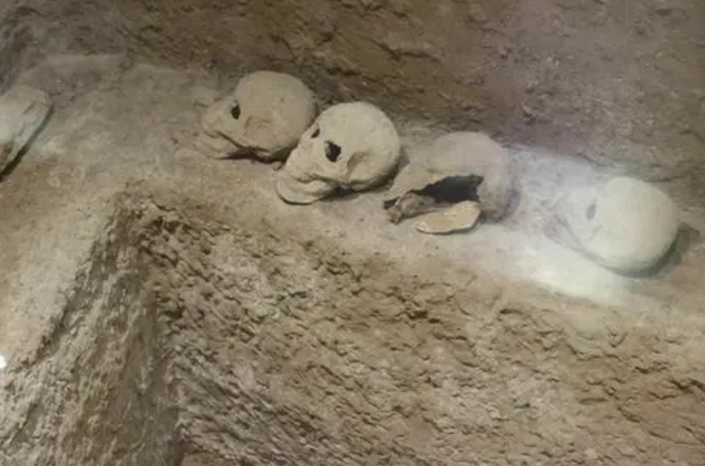 【黄柏木】黄柏木家具好吗，黄柏树木质怎么样（中国最恐怖古墓）