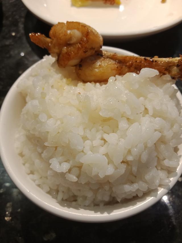 牛蛙是田鸡吗，牛蛙是癞蛤蟆吗（田鸡、牛蛙、青蛙分不清楚）