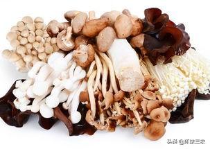 食用菌栽培技术，食用菌栽培技术与管理（食用菌市场大火，种植却不专业）