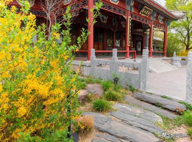 敛声息语的意思，敛声息语的意思是什么怎么造句（园林线上课堂<45>）