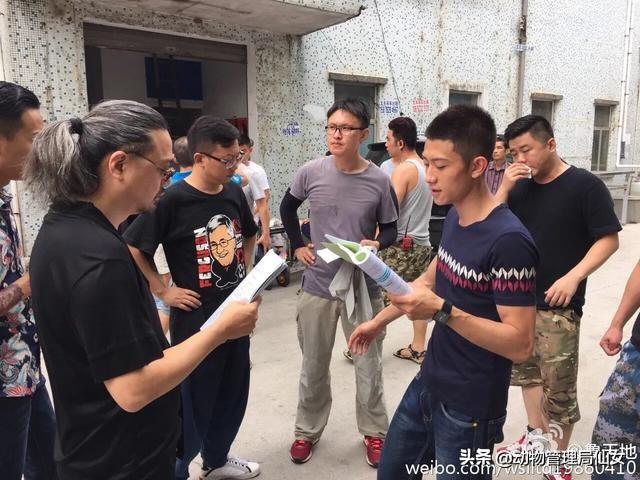 余罪为什么被禁播，余罪为啥会禁播（张一山火爆一时的《余罪》被禁播背后真相令人心酸）