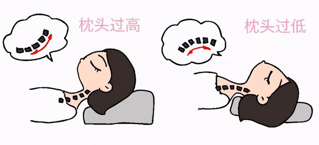 高分子聚合物是指什么，什么是高分子聚合物,有什么特点（羽绒枕、记忆枕、荞麦枕、乳胶枕......都是啥）