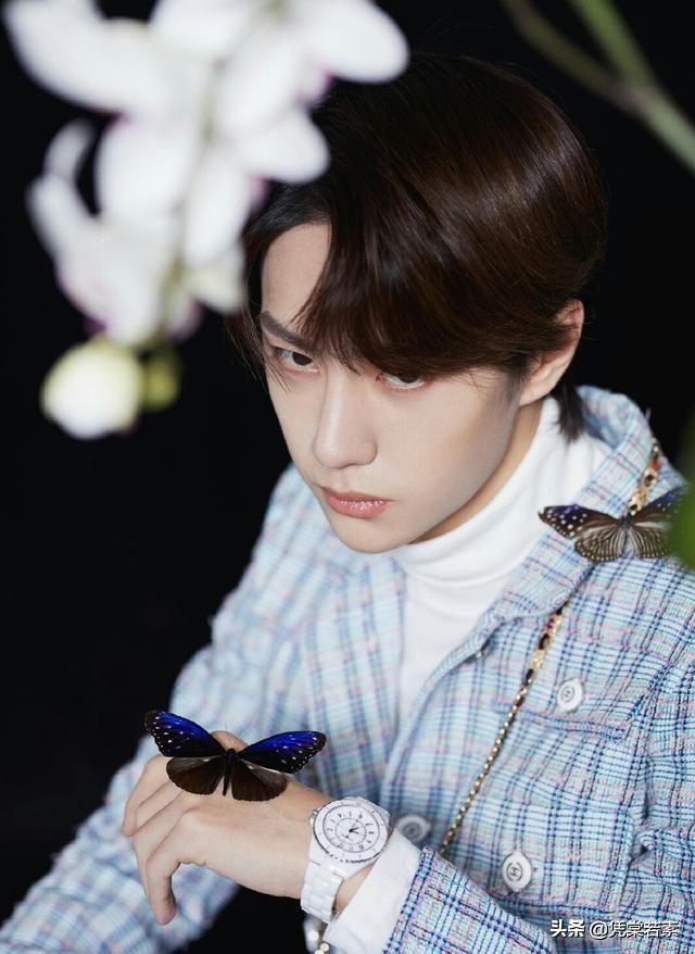 反射弧什么梗，说你反射弧那么长什么意思（王一博，反射弧有点长）