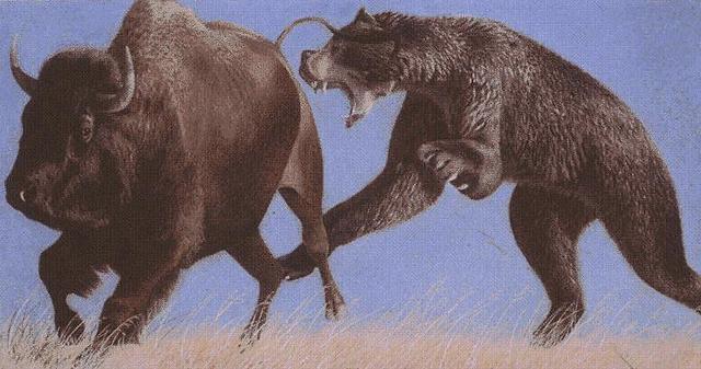 全球最大的熊类，哪种熊是全球最大的熊类（身高5米相当于两层楼高）