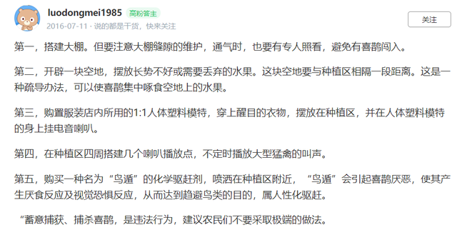 雀和鹊的区别，喜鹊的鹊和孔雀的雀有什么区别（喜鹊的所作所为对应其名“喜鹊”）