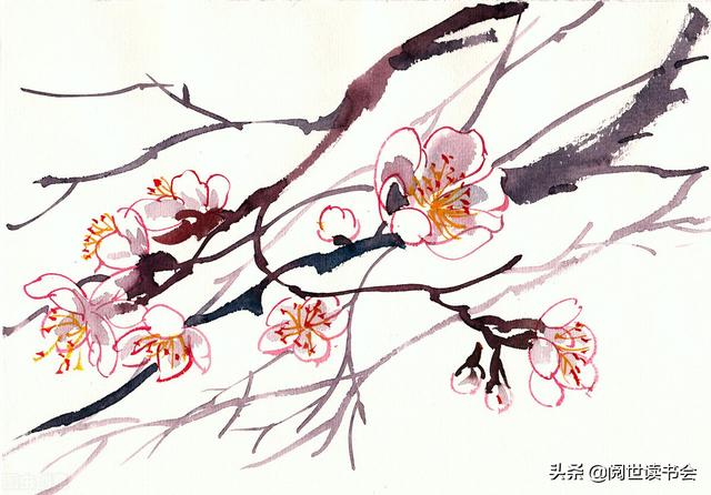 纳言敏行哪个字是错别字，纳言敏行拼音（君子欲讷于言而敏于行）