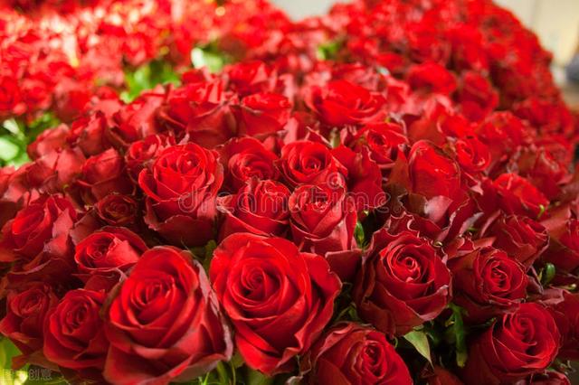 想和前任复合怎么说比较好，想和前男友复合怎么说（这十个高情商让你再次俘虏前任的心）