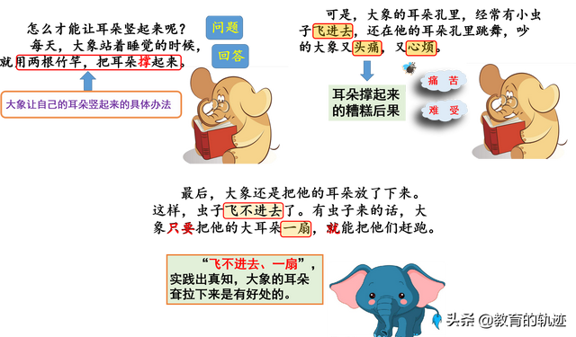 大象的耳朵有什么作用，大象的耳朵有什么特殊作用（人教版.二年级语文下册.大象的耳朵）