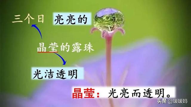 年迈的近义词是什么，温暖的近义词是什么（二年级下册语文课文5《雷锋叔叔）