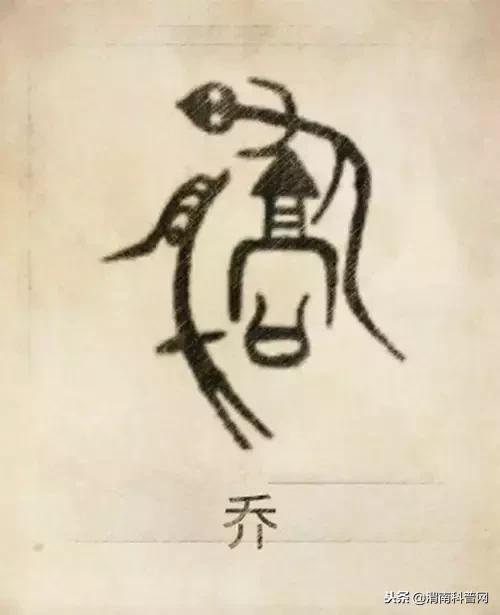 一个草字头一个吕，草字头加吕什么字（中国100大姓氏起源、图腾）