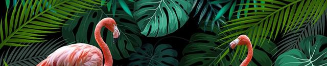 爱需要全心全意 郑源，爱要全心全意郑源（中国内地男歌手、音乐唱作人、词曲创作者郑源歌曲简谱精选）