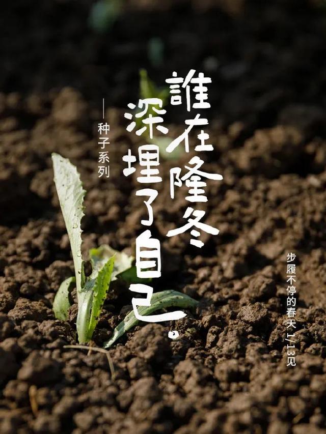 立春祝福创意文案，立春祝福创意文案怎么写（30句立春品牌文案精选）
