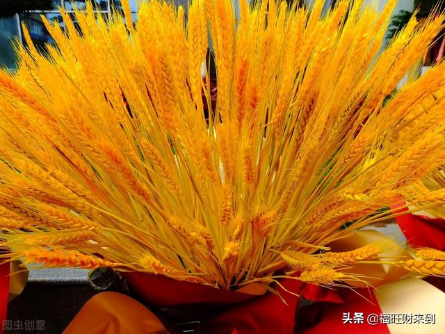 精选的开业祝贺词大全，开业祝福语贺词（开业的经典句子）