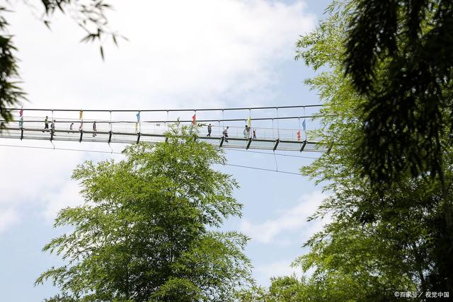 中国有几个竹海哪个更出名，中国哪个竹海最美（如今是不是还值得一去呢）