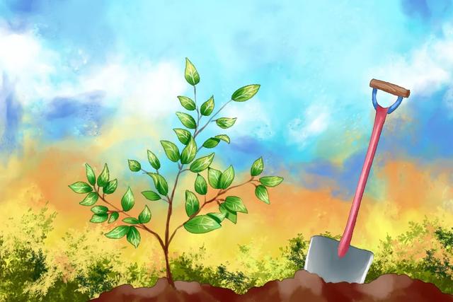 植树节黑板报内容大全，植树节手抄报内容有哪些（3.12植树节手抄报素材+模板+1~6年级作文范文）