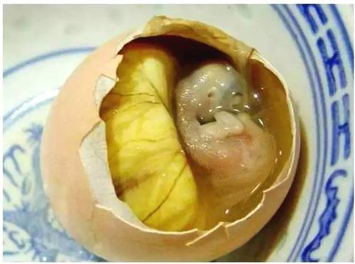 活珠子要煮多长时间可以吃，活珠子怎么吃（黑暗料理——中国：活珠子）