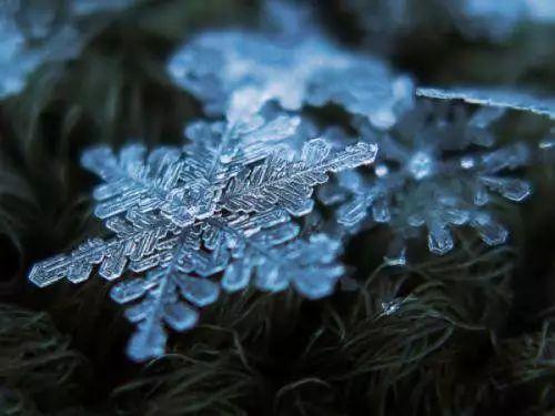 雪的组词有哪些，雪组词（雪的24种别称，简直美醉了）
