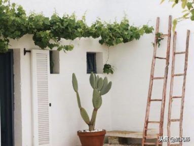 发朋友圈幽默吸引人句子，发朋友圈幽默吸引人句子搞笑（风趣幽默吸引人的朋友圈说说）