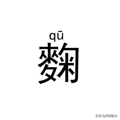 ?怎么读什么意思，仵怎么读姓氏（看完后可不能再读错了）