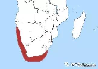 企鹅都有哪几种分别生活在哪里呢，企鹅都有哪些（详解世界上的18种企鹅<一>）