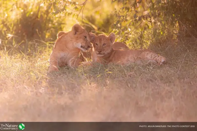 怦然心动美图，怦然心动最新图片（美图 ， 这一瞬间的怦然心动）