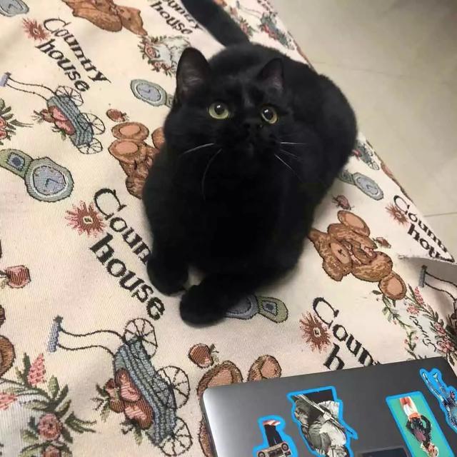 为什么qq扩列不显示，为什么qq扩列不显示扩列失败（QQ扩列让我感到了与00后的代沟）