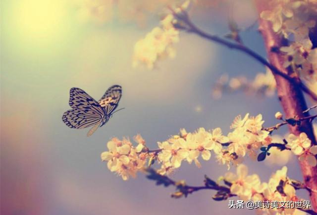 雷池是什么意思，越过雷池是什么意思（欧阳修平生最风流的词）