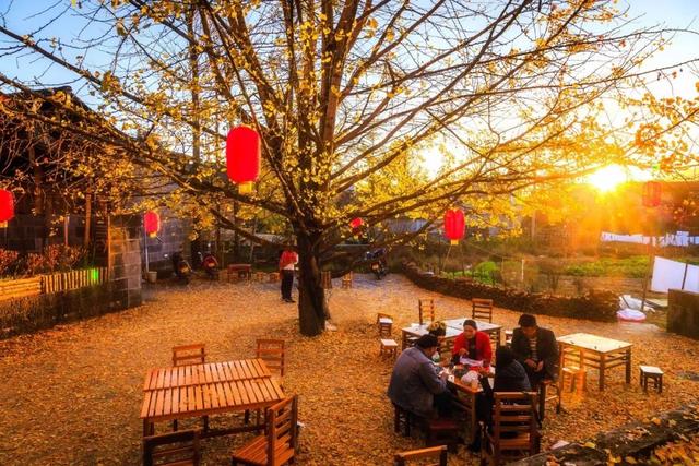 隐居田园的诗句，隐居田园的诗人（一起领略古人笔下的诗酒田园）