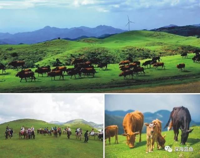 仰天湖大草原游玩攻略，仰天湖大草原攻略有哪些（雾霾小东江、壮阔高椅岭）