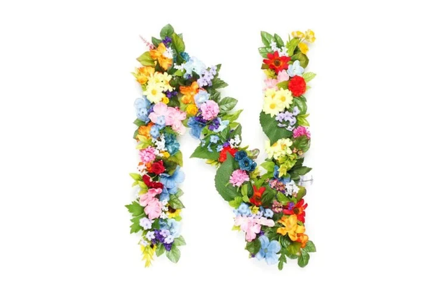 玫瑰花唯美ins风景清新意境美图，ins玫瑰图片复古风（摄影中的花之美）