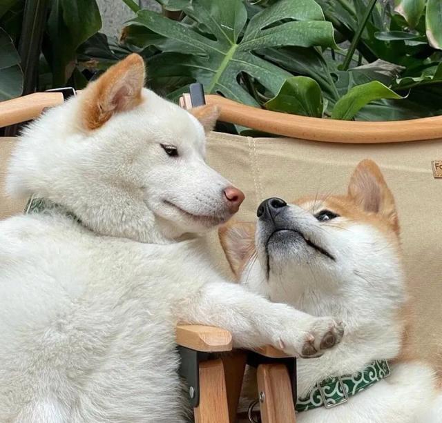 男生高级感的头像 盛不盛开 花都是花  有你没你 我都是我微信，男生高级感的头像 盛不盛开 花都是花  有你没你 我都是我（头像丨男生：盛开或者不盛开）