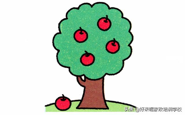 小树简笔画，简笔小树怎么画（月嫂育婴师宝妈带娃早教必备）