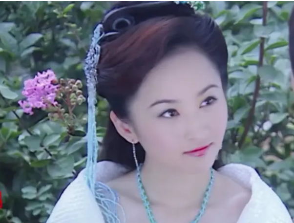 潘虹电视剧作品，潘虹电视剧（《欢天喜地七仙女》17年后）