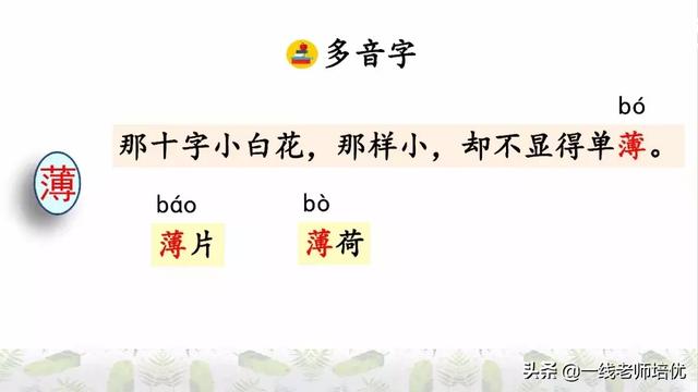 平淡无味的意思，清淡无味的意思（部编版六年级上册第2课《丁香结》重点知识点+图文解读）