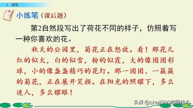 莲蓬的蓬是不是读轻声，莲蓬的蓬为什么读轻声（部编版语文三年级下册第3课《荷花》图文讲解）