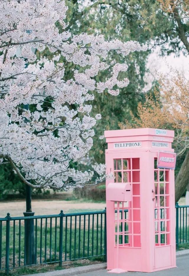 青岛好吃的,青岛好吃的最多的地方(八十五年前评出的“青岛十景”) 青岛好吃的,青岛好吃的最多的地方(八十五年前评出的“青岛十景”)