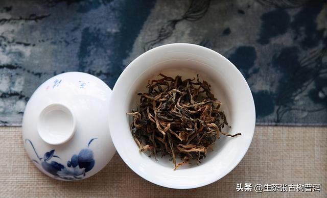 什么是乔木普洱茶，乔木普洱茶有哪些（<产地、形态特征、生长环境>）