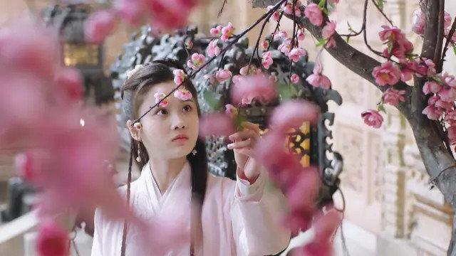 暮白首穆妍是谁演的，《暮白首》刷完14集