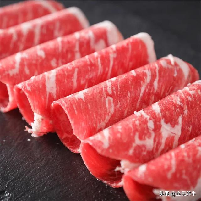 肥牛是什么肉做的,肥牛主要是什么肉做的(肥牛知识点来了,你知道几个) 肥牛是什么肉做的,肥牛主要是什么肉做的(肥牛知识点来了,你知道几个)