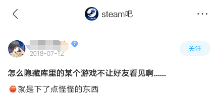 steam怎么隐藏自己在玩什么，steam怎么隐藏自己玩过什么（如何不让好友发现你在玩小黄油）