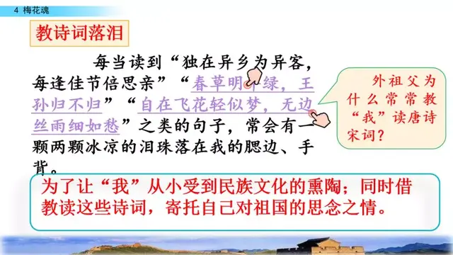颇负盛名的拼音，颇负盛名的负字是什么意思（部编版五年级语文下册第四课《梅花魂》知识点及课堂测试题）