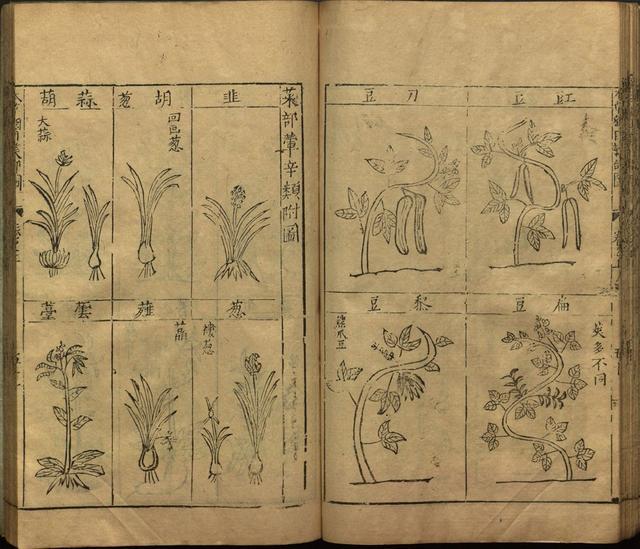 本草纲目全书带图，李时珍本草纲目全书（李时珍著《本草纲目》附图卷）