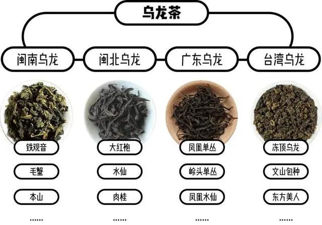 台湾乌龙茶，台湾乌龙茶有哪些品种（闽南、闽北、广东、台湾乌龙茶大集合）