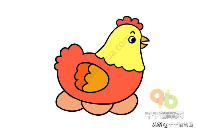 公鸡母鸡简笔画，公鸡母鸡简笔画彩色（一分钟学会画大公鸡和大母鸡）
