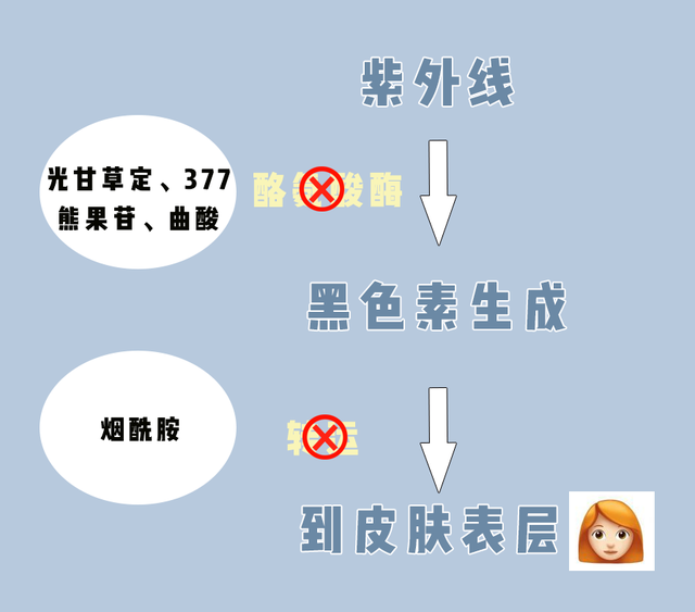 简单的美白方法，最简单有效的12个美白方法（亲测最快速有效的美白方法）