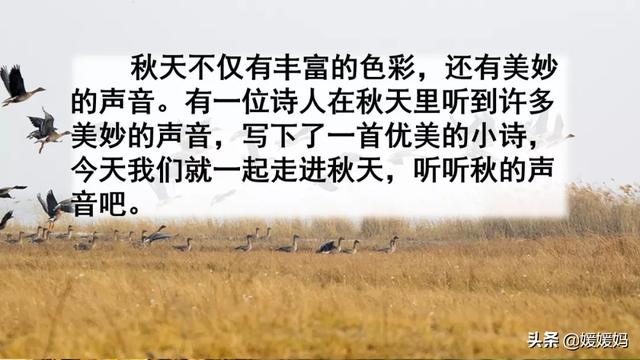 叮咛的近义词是什么，部编版三年级语文上册第7课《听听