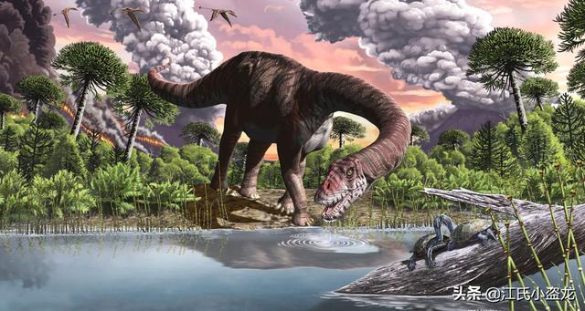 re网名的含义，Re微信昵称（2020古生物学家到底命名了多少种恐龙）